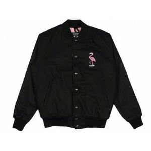 RipnDip varsity flamingo jacket nwot
